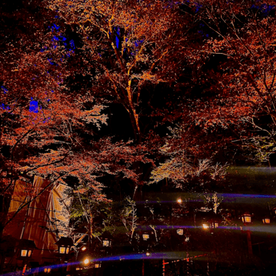 Seasonal Transition Freestyle (feat. NEOM & yellj) Front Cover