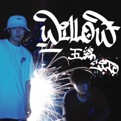 willow Front Cover
