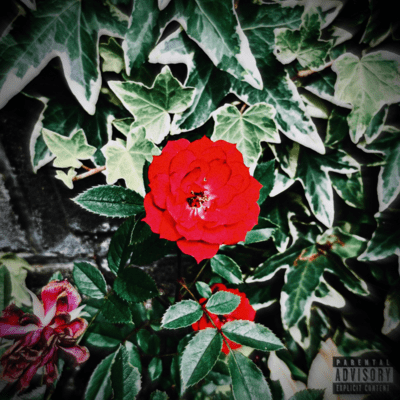 524 Front Cover