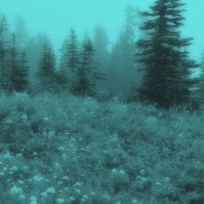 Blue Daysのジャケット写真