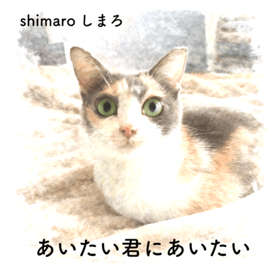 あいたい君にあいたいのジャケット写真