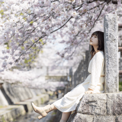 桜のジャケット写真