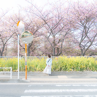 One Scene (2024 Remastered)のジャケット写真