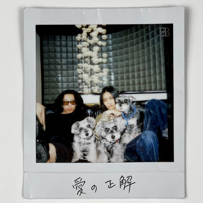 愛の正解のジャケット写真