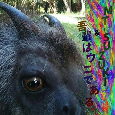 1 Front Cover
