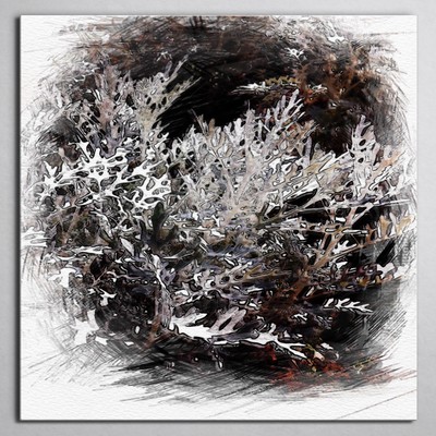 Silent Night (Acoustic)のジャケット写真