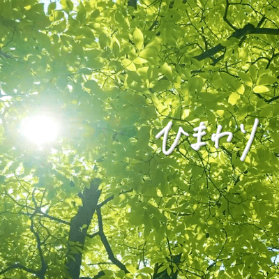 ひまわりのジャケット写真