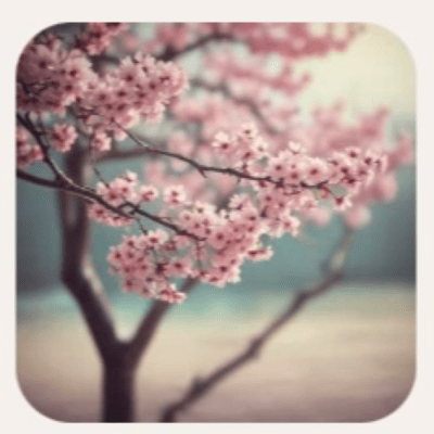 通学路のジャケット写真