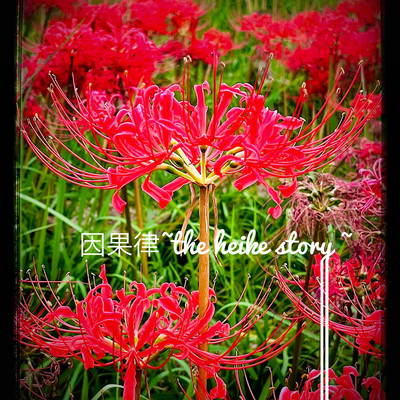 因果律 (~the heike story~)のジャケット写真