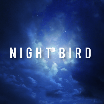 NIGHT BIRD Front Cover