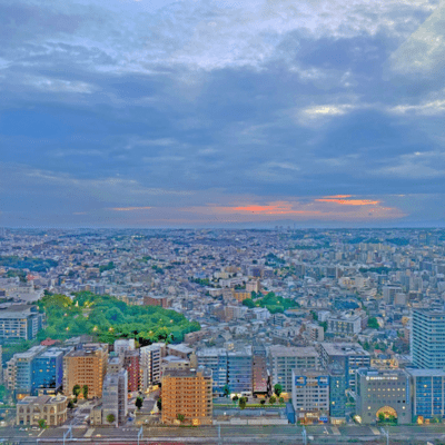 light Front Cover