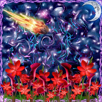 PHEROMONE Front Cover