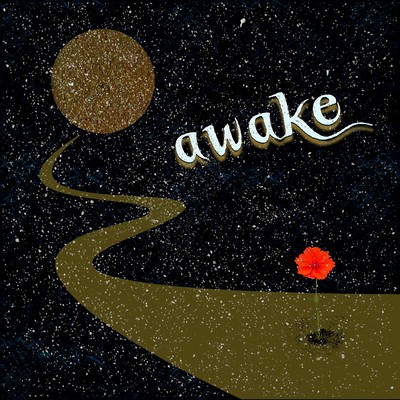 awake Front Cover