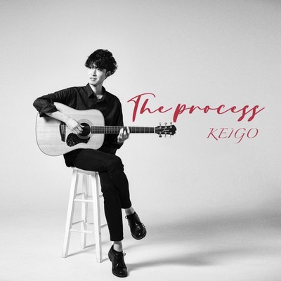 The process Front Cover