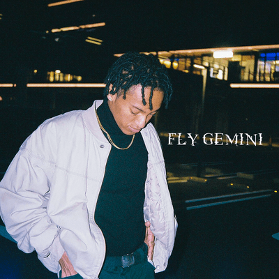 FLY GEMINIのジャケット写真