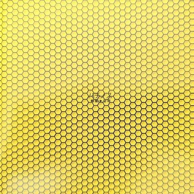 ハチノスのジャケット写真