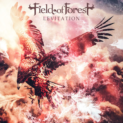 Levitation Front Cover