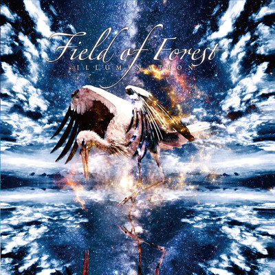 Illumination Front Cover