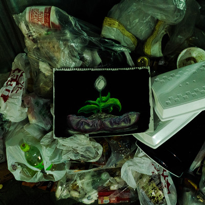 A LIGHT in THE GARBAGE Front Cover