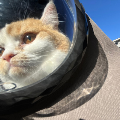 Astronaut Front Cover