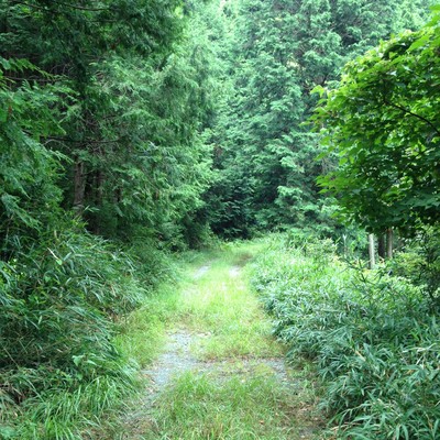 HIRAMARI SONG Front Cover