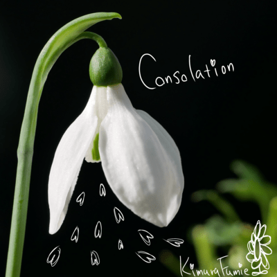 consolationのジャケット写真