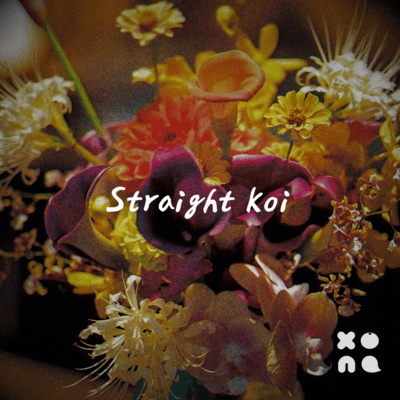 Straight Koi Front Cover