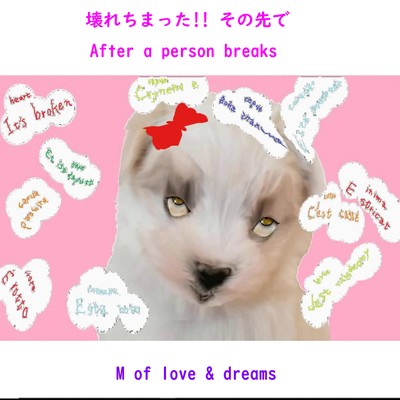 壊れちまった!! その先でのジャケット写真