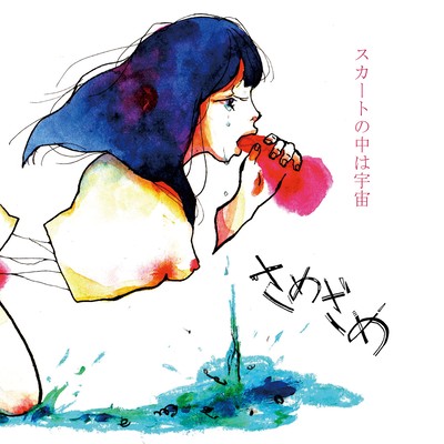 The Universe in the Skirt Front Cover