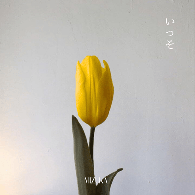 isso Front Cover