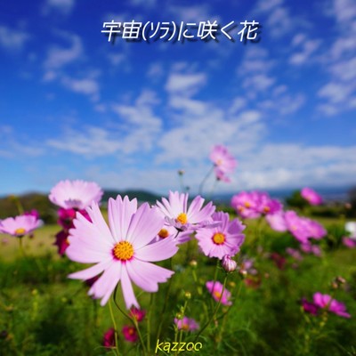 宇宙 (ソラ) に咲く花のジャケット写真