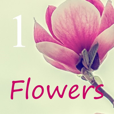 Flowers 1 Front Cover