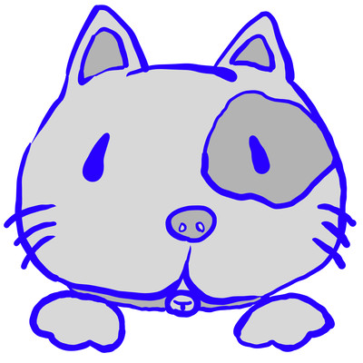 Cat Front Cover