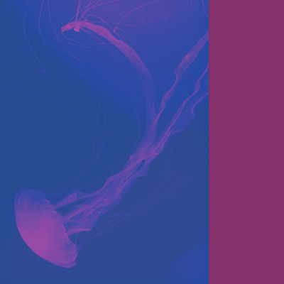 夜を泳ぎ飽きたらのジャケット写真