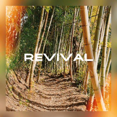 REVIVALのジャケット写真