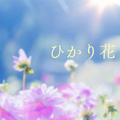 ひかり花のジャケット写真