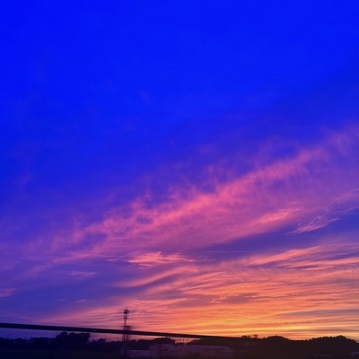 lonelyのジャケット写真