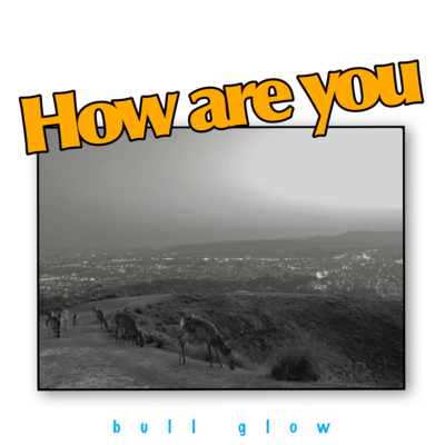 How are you Front Cover