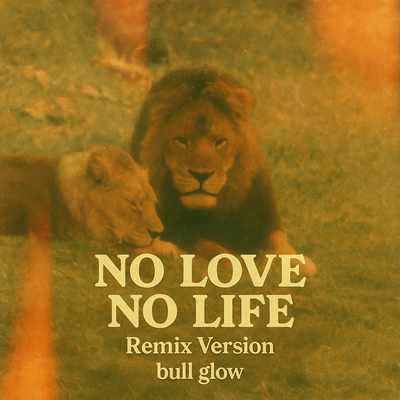 NO LOVE NO LIFE (Remix) Front Cover
