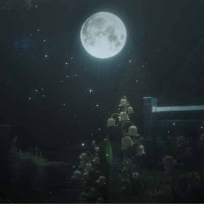 Shiromukuniarazu Front Cover