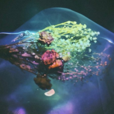 秘密のジャケット写真