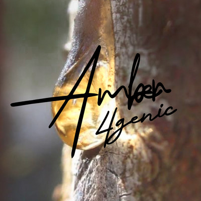 Amber Front Cover