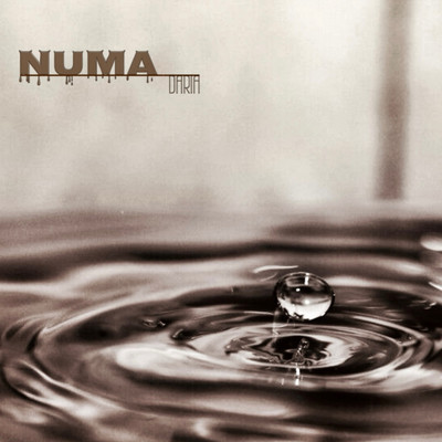 NUMA Front Cover
