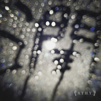 Moisture! Front Cover