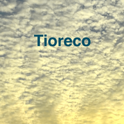 Human Front Cover