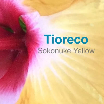Sokonuke Yellowのジャケット写真