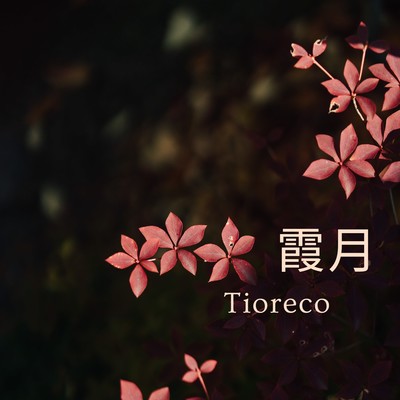 Kasumizuki Front Cover