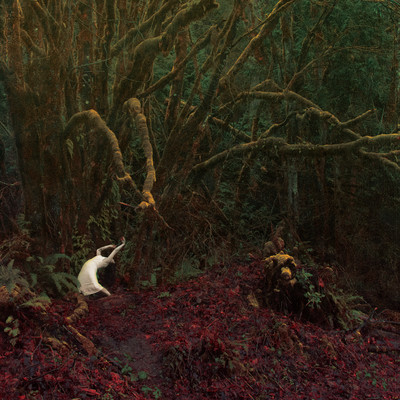 TO LIVE IS TO DIE, TO DIE IS TO LIVE Front Cover