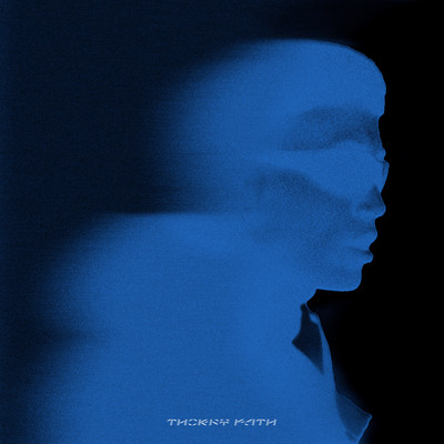 thorny path Front Cover
