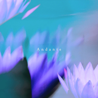 Andante Front Cover